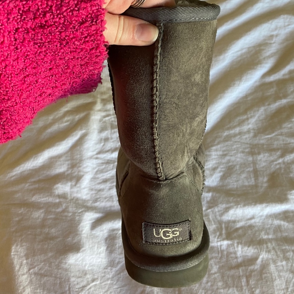 Gray Short Uggs - Picture 3 of 9